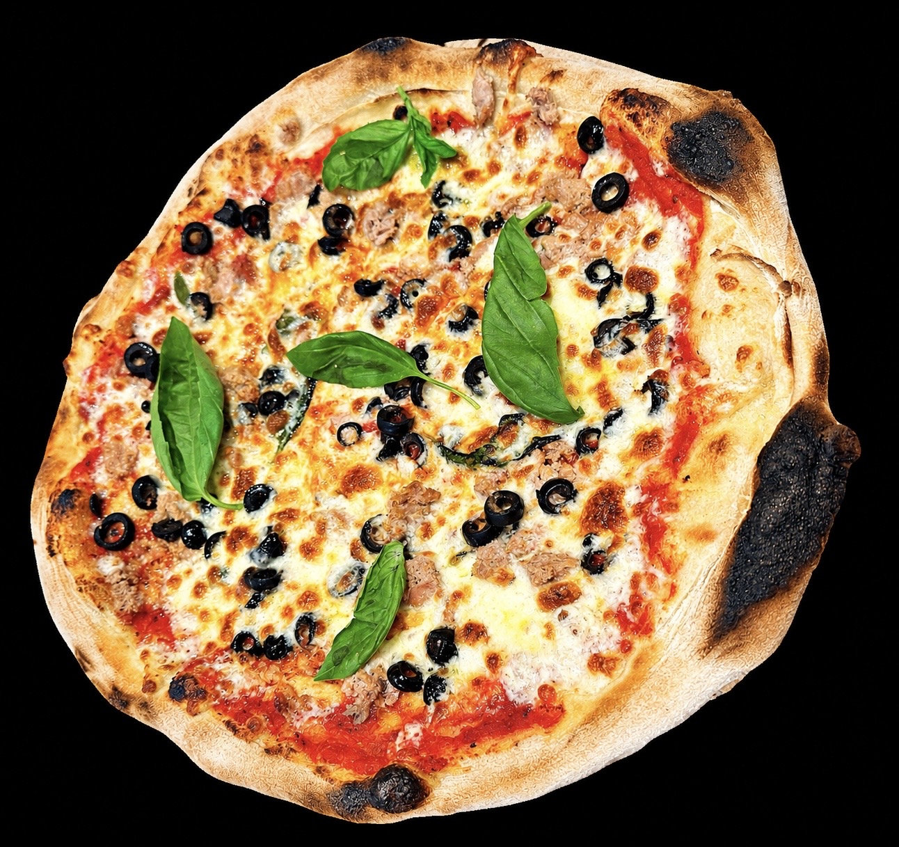 Pizza au thon cuite au feu de bois, garnie d’olives noires et de basilic, sur fond noir